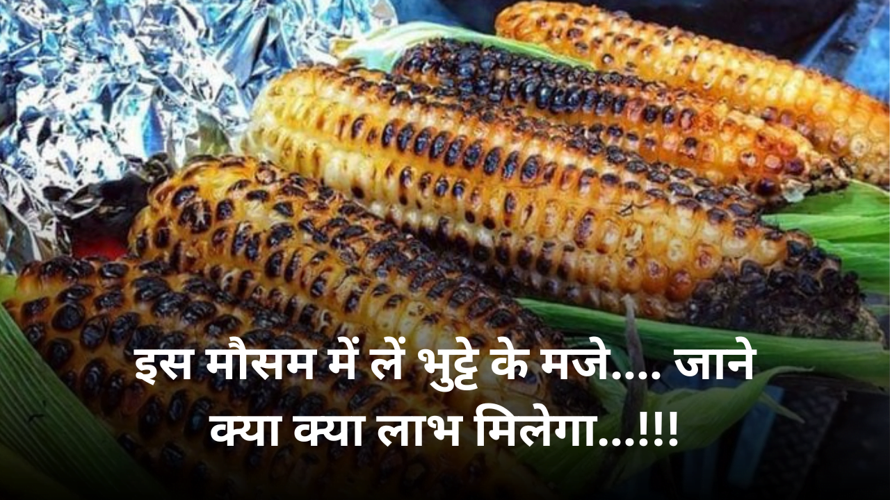इस मौसम में लें भुट्टे के मजे…. जाने क्या क्या लाभ मिलेगा…!!!