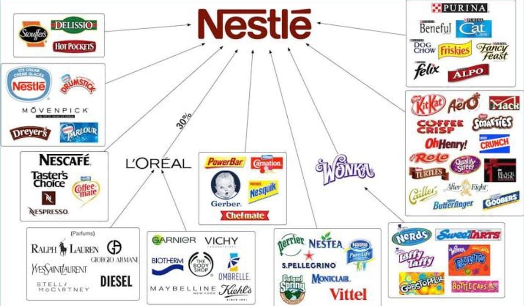 Nestle India Share Price: Q2 में कंपनी का नेट प्रॉफिट 28% गिरा, लेकिन शेयर ने दिखाई मजबूती, आखिर निवेशकों को किस ‘अच्छी खबर’ का मिला सहारा?